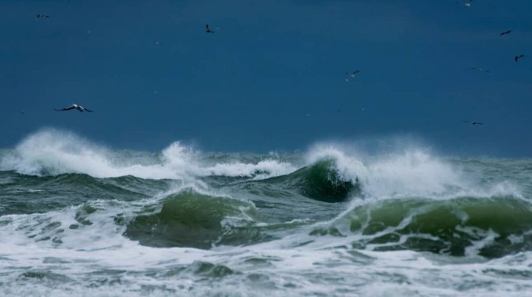 delibera arera ciclone harry_news Orangy