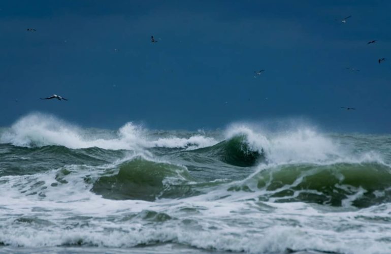 delibera arera ciclone harry_news Orangy