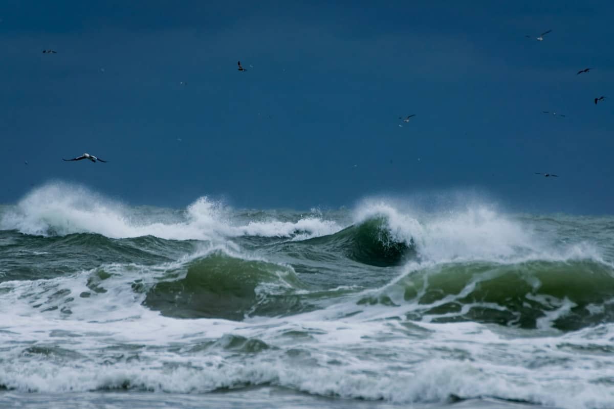 delibera arera ciclone harry_news Orangy